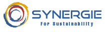 Synergie for Sustainability